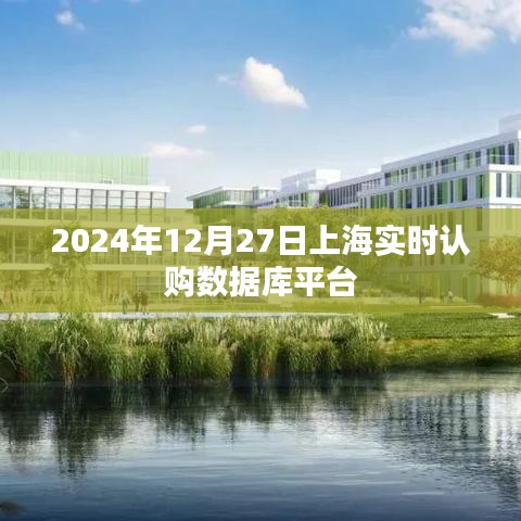 上海实时认购数据库平台上线时间揭秘，2024年12月27日