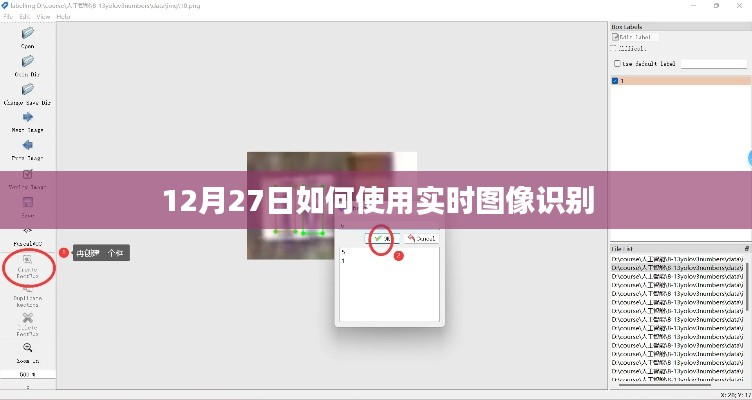 实时图像识别使用指南，12月27日操作教程