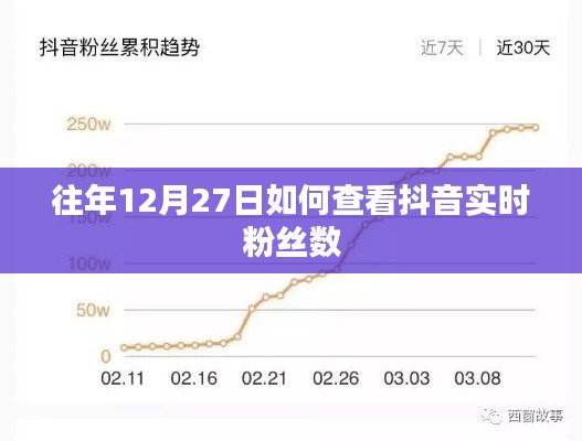 抖音实时粉丝数查看攻略，往年12月27日数据解读