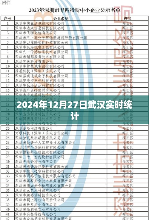 武汉实时统计，2024年12月27日数据报告