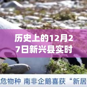 新兴县历史温度记录，12月27日实时温度概览