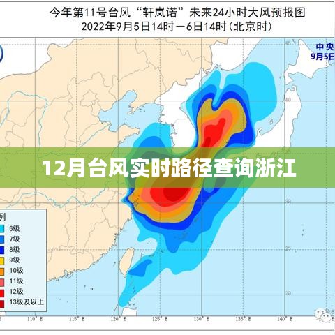 浙江台风实时路径查询报告，最新动态，尽在掌握