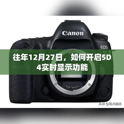 往年12月27日开启5D4实时显示功能指南