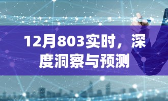 12月803实时洞察与预测报告