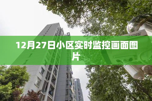 小区实时监控画面图片实拍记录，12月27日观察报告