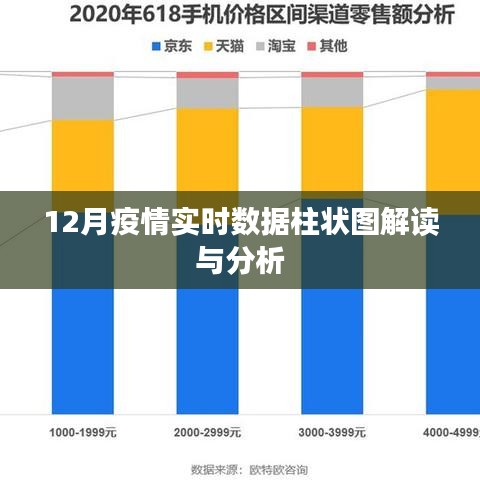 12月疫情实时数据解读与分析，柱状图揭示趋势