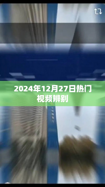 2024年12月27日热门视频识别指南