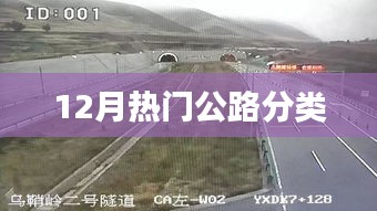 公路分类知识大盘点，最新热门公路介绍