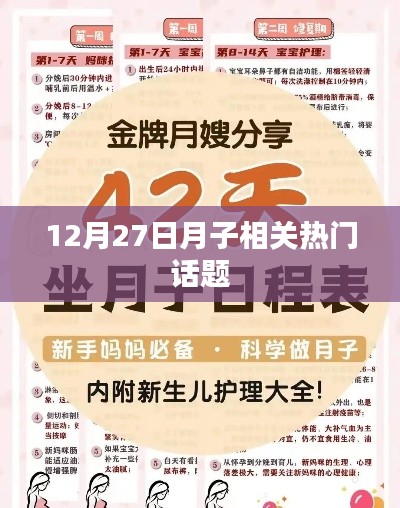 月子话题热议，12月27日热门探讨