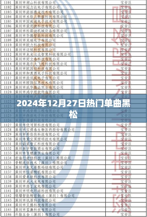 黑松之歌，2024年冬季最热单曲来袭