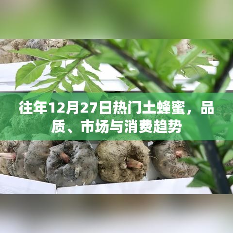 往年12月热门土蜂蜜，品质与市场消费趋势分析