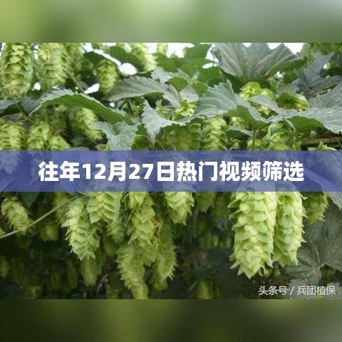 往年12月27日精选热门视频盘点