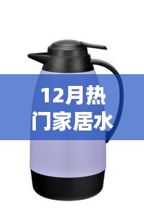 12月热门家居水壶推荐