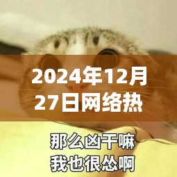 2024年超火猫咪表情图，全网热传！