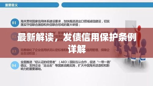 最新解读，发债信用保护条例详解