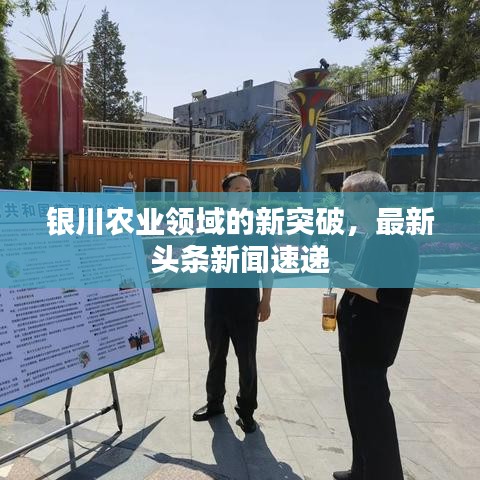 银川农业领域的新突破，最新头条新闻速递